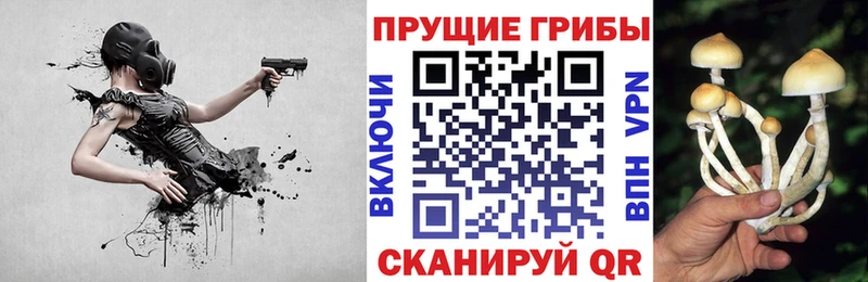 Галлюциногенные грибы мицелий  Туринск 